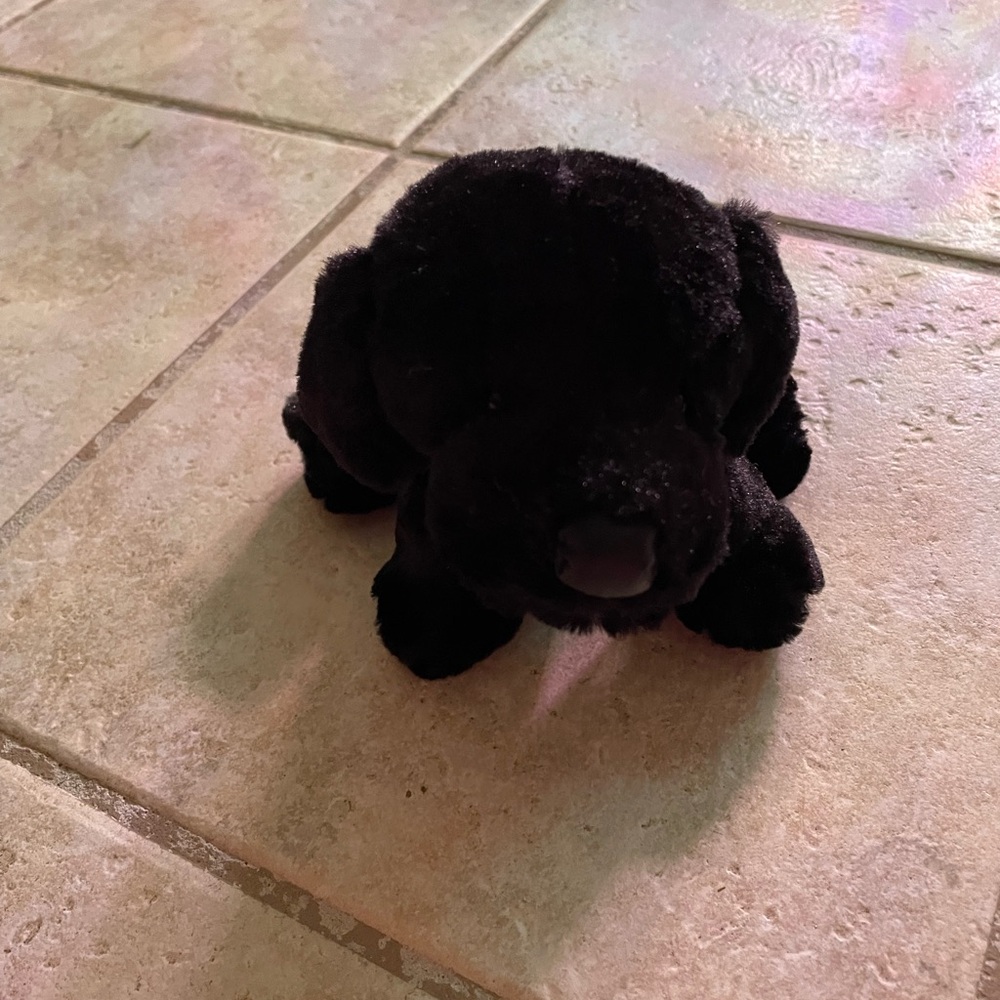 Webkinz Black Lab Stuffed Animal